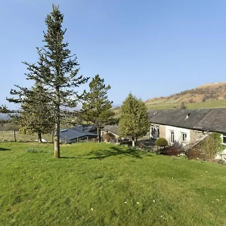 1 Bed In Oc-lr175